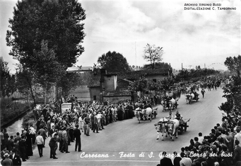 La Corsa dei Buoi